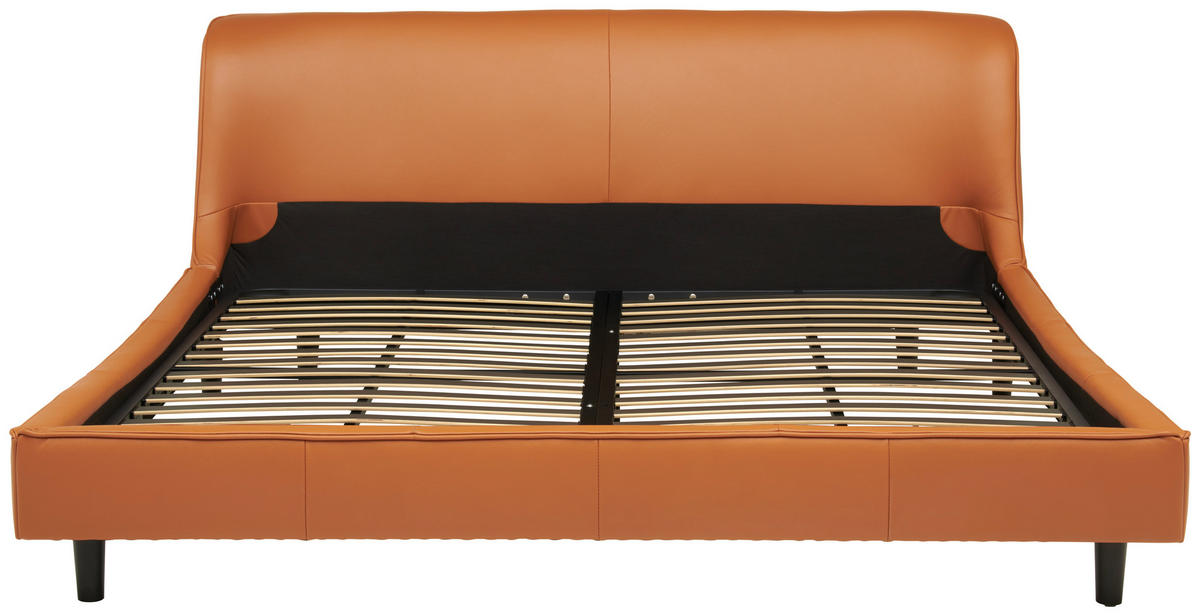 TAPECIRANI KREVET   180/200 cm   smeđa  - crna/smeđa, Moderno, koža/drvo (180/200cm) - Livetastic