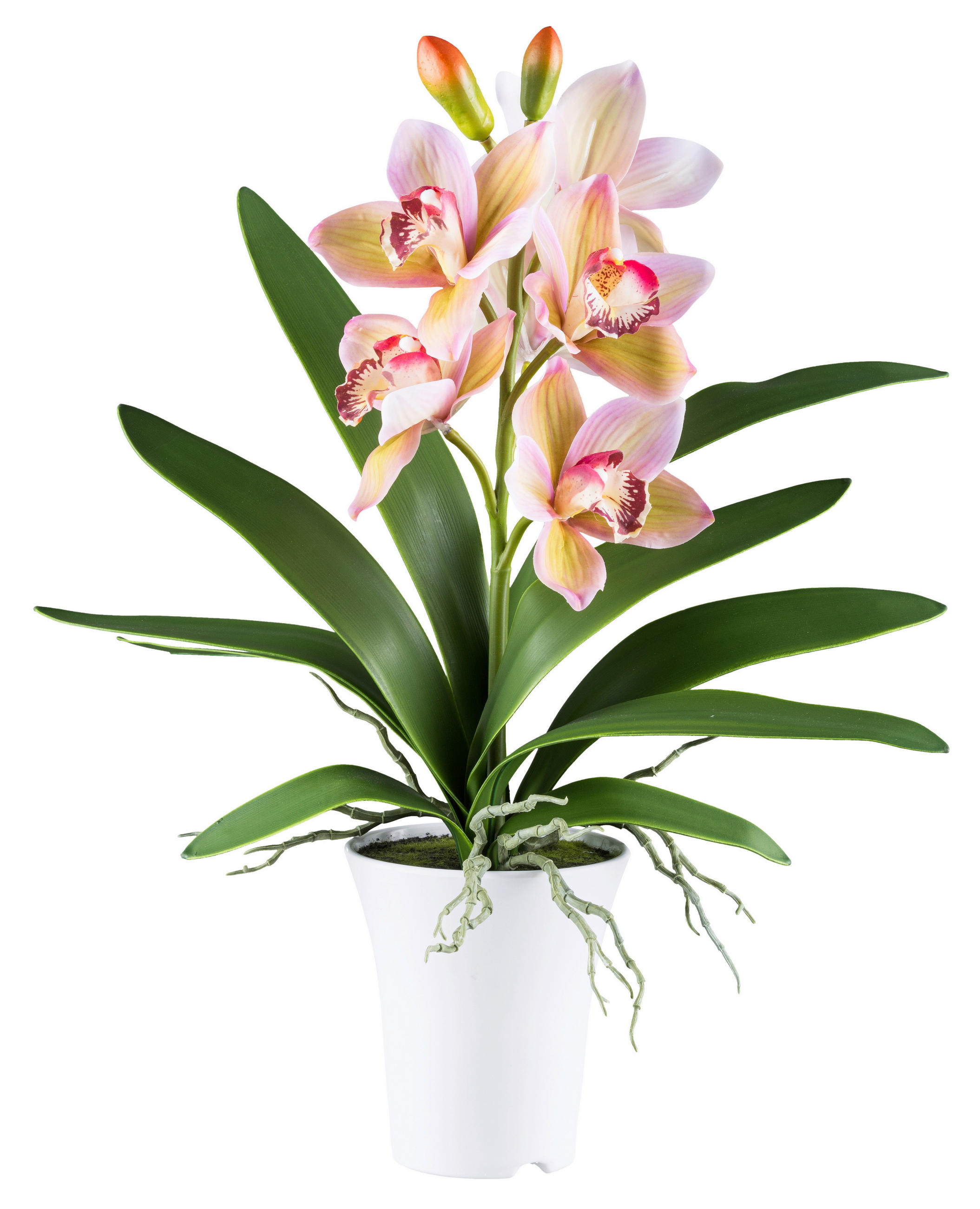 KUNSTPFLANZE Orchidee 53 cm  - Rosa/Weiß, Design, Kunststoff (53cm) - P & B