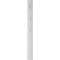 GARDEROBENPANEEL  in 15/170/4 cm  - Weiß, Design, Holzwerkstoff (15/170/4cm) - Voleo