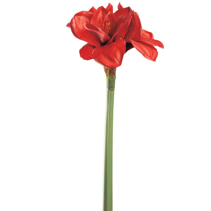 AMARILIS - zelena/crvena, Osnovno, metal/plastika (19/55/14cm) - Leonardo