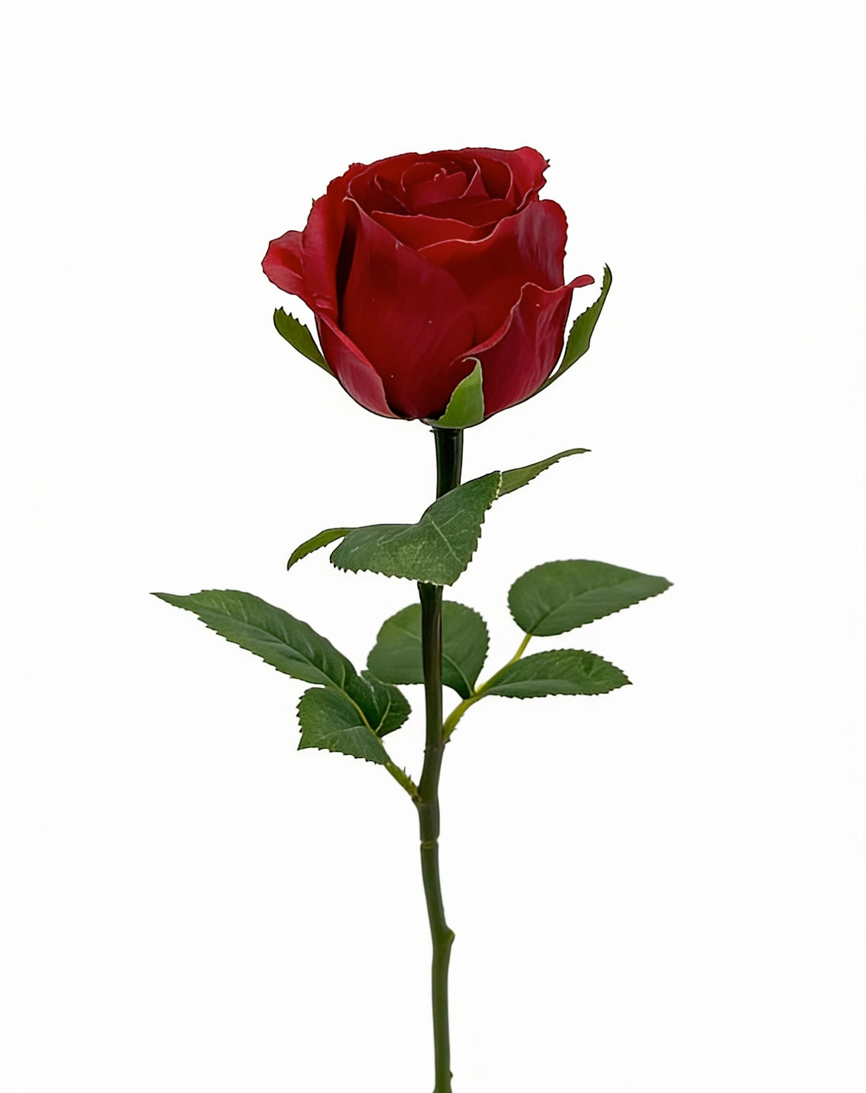 ROSE - Hellrot, LIFESTYLE, Kunststoff (51cm)