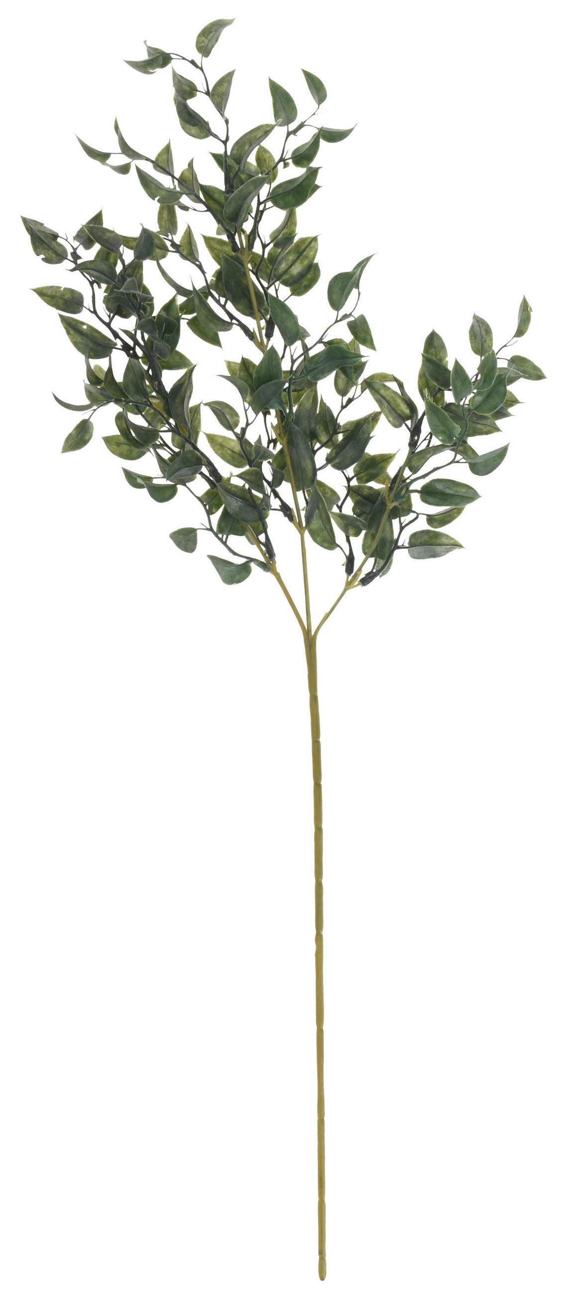 RAMURĂ DECORATIVĂ - verde, Basics, plastic (66cm)