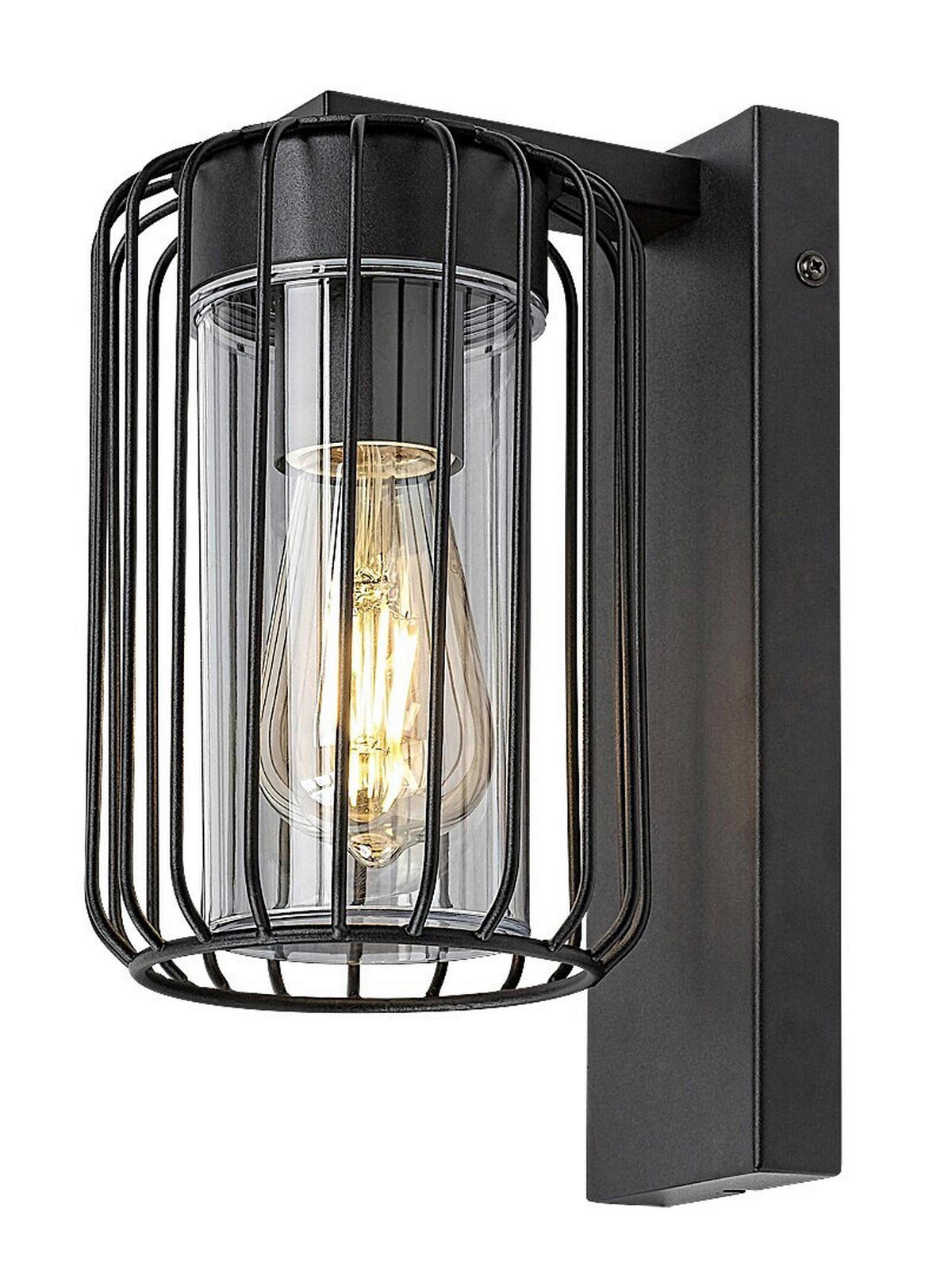 ZIDNA SVJETILJKA VANJSKA Tarpa  - prozirno/crna, Basics, metal/plastika (13.5/27cm)