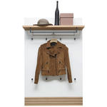 GARDEROBENPANEEL  in 92/140/28 cm  - Eichefarben/Anthrazit, Design, Holz/Holzwerkstoff (92/140/28cm) - Dieter Knoll