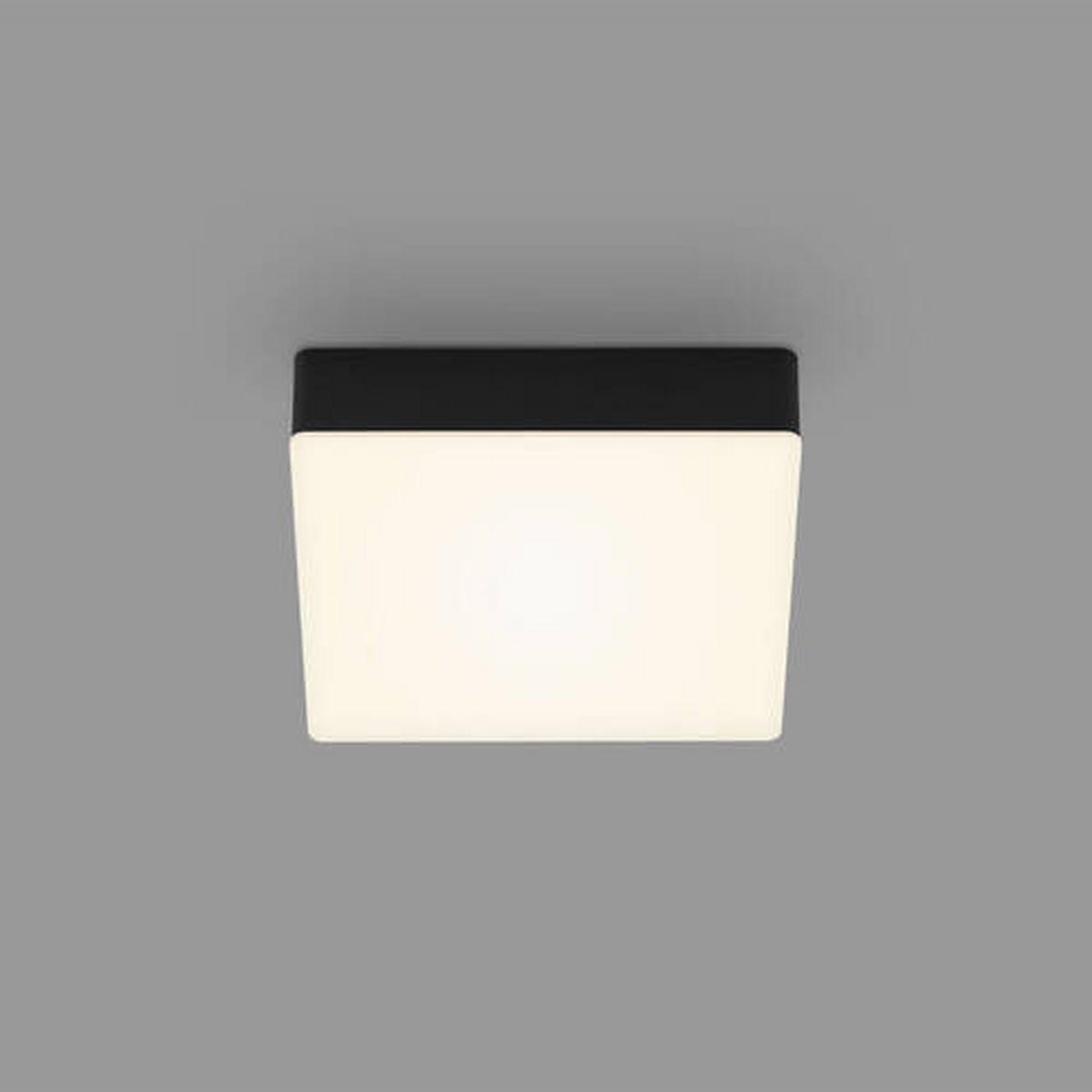 STROPNÍ LED SVÍTIDLO, 15,7/15,7/3,6 cm - černá, Basics, plast (15,7/15,7/3,6cm)