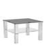COUCHTISCH rechteckig Edelstahlfarben, Schwarz - Edelstahlfarben/Schwarz, Design, Glas/Metall (75/75/45,80cm) - Novel