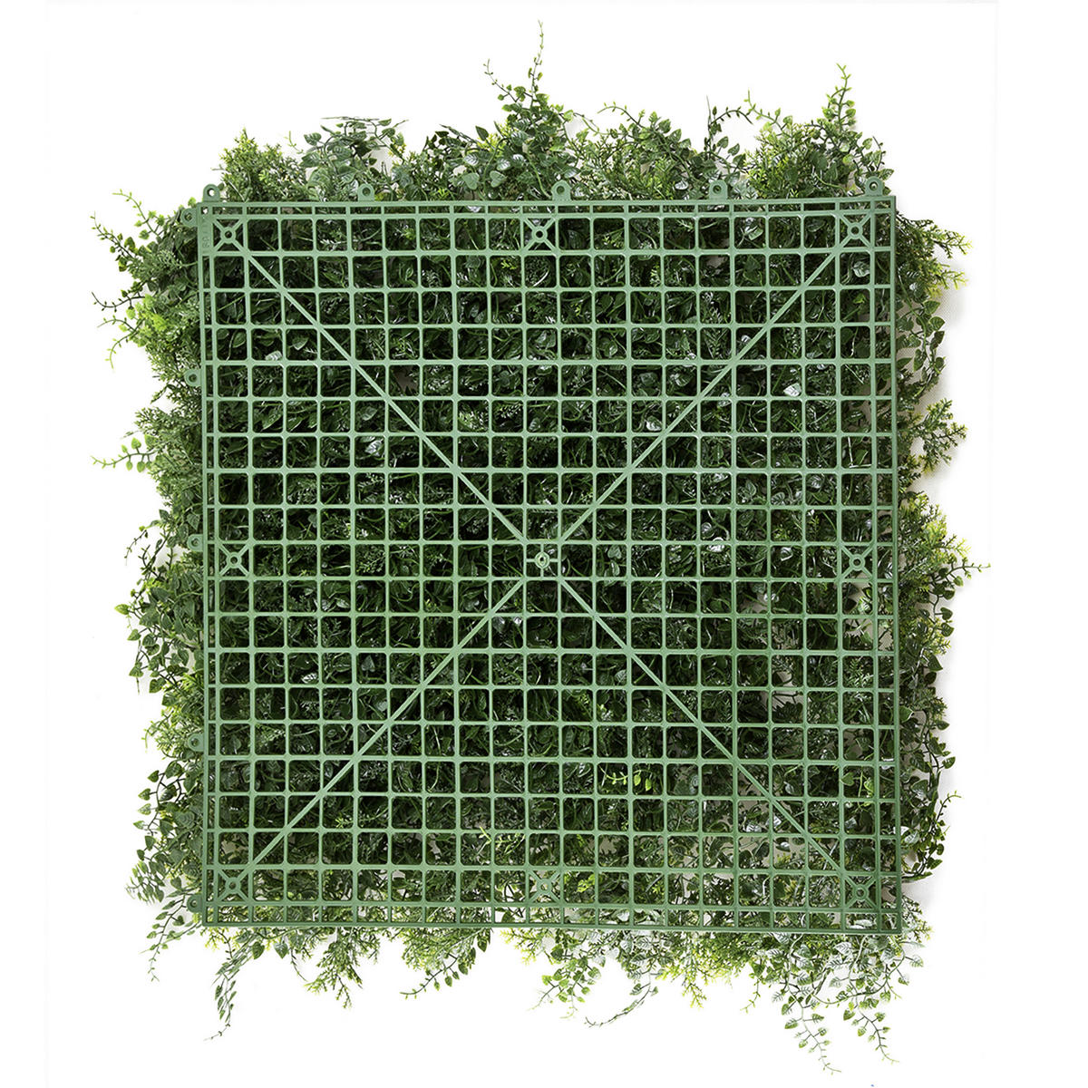 KUNSTPFLANZE  - Grün, MODERN, Kunststoff (55/55/6cm) - MID.YOU