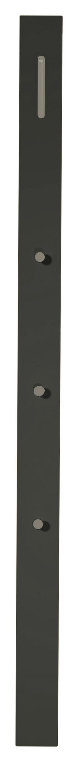 PANNEAU DE GARDE-ROBE  in 10/165/5 cm  - Anthrazit, Design, Holzwerkstoff/Metall (10/165/5cm) - Moderano