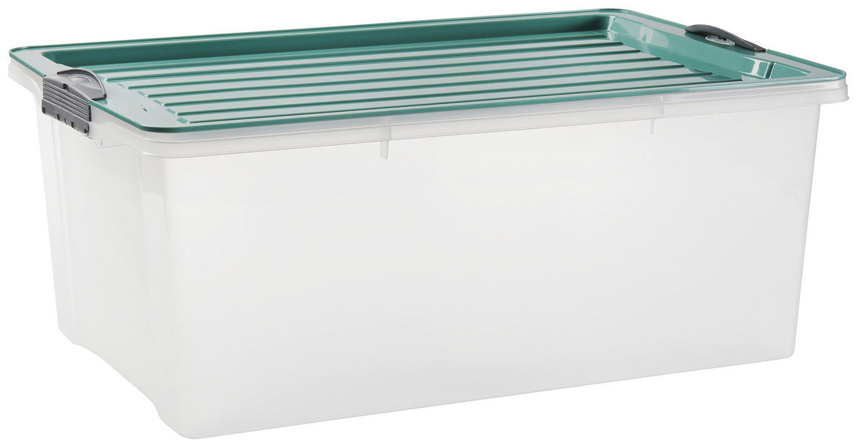 ÚLOŽNÝ BOX, plast - Basics, plast (57/40/25cm) - Rotho