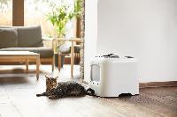 KATZENTOILETTE - Basics (51/39,5/44,3cm) - Rotho