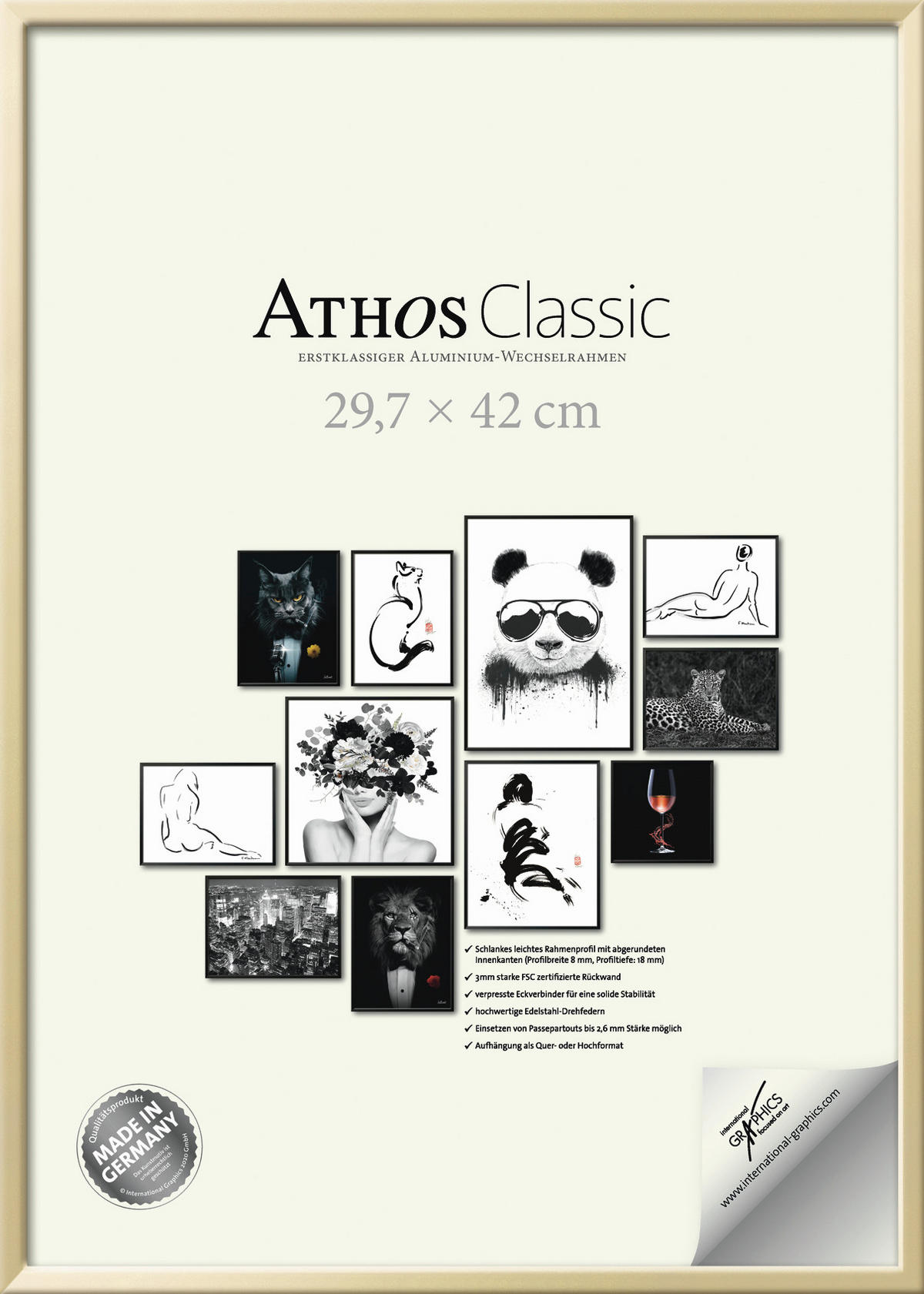 BILDERRAHMEN - Goldfarben, Basics, Papier/Holzwerkstoff (29,7/42/1,8cm)