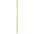 WANDSPIEGEL 90/180/2,5 cm    in rechteckig  - Goldfarben, Trend, Glas/Holzwerkstoff (90/180/2,5cm) - Landscape