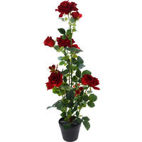 RUŽA 95 cm - Basics, plast (95cm)