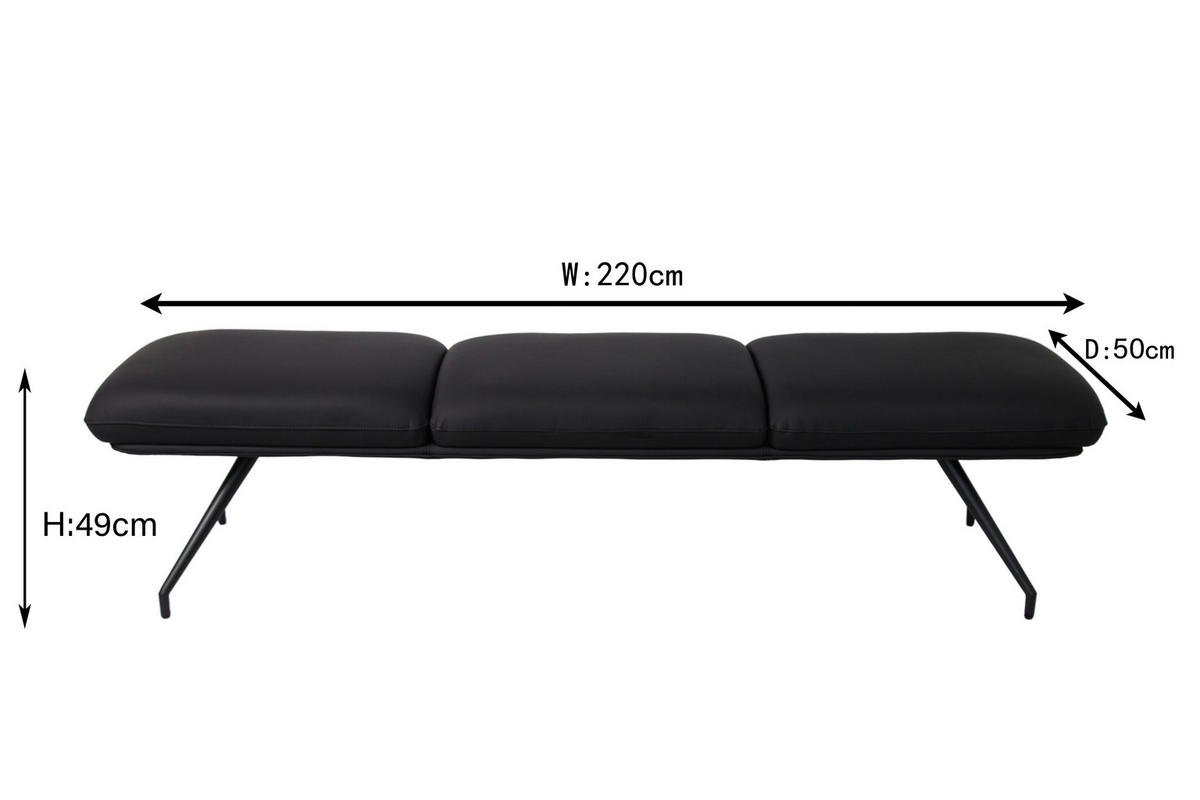 SITZBANK 220/49,5/50 cm  in Schwarz  - Schwarz, Design, Leder/Metall (220/49,5/50cm) - Dieter Knoll