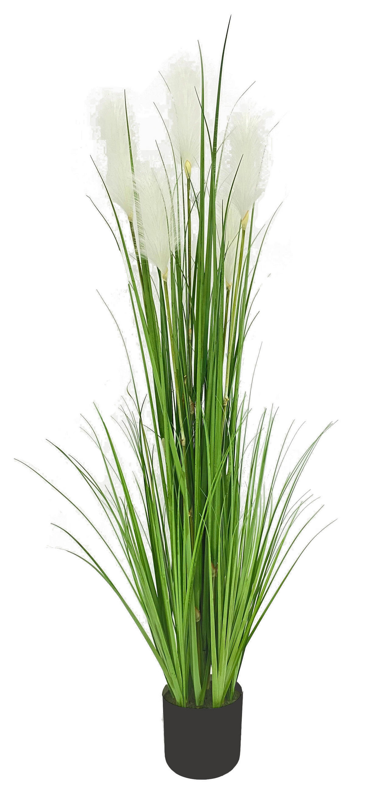 KUNSTPFLANZE 150 cm  - Basics (150cm) - Ambia Home
