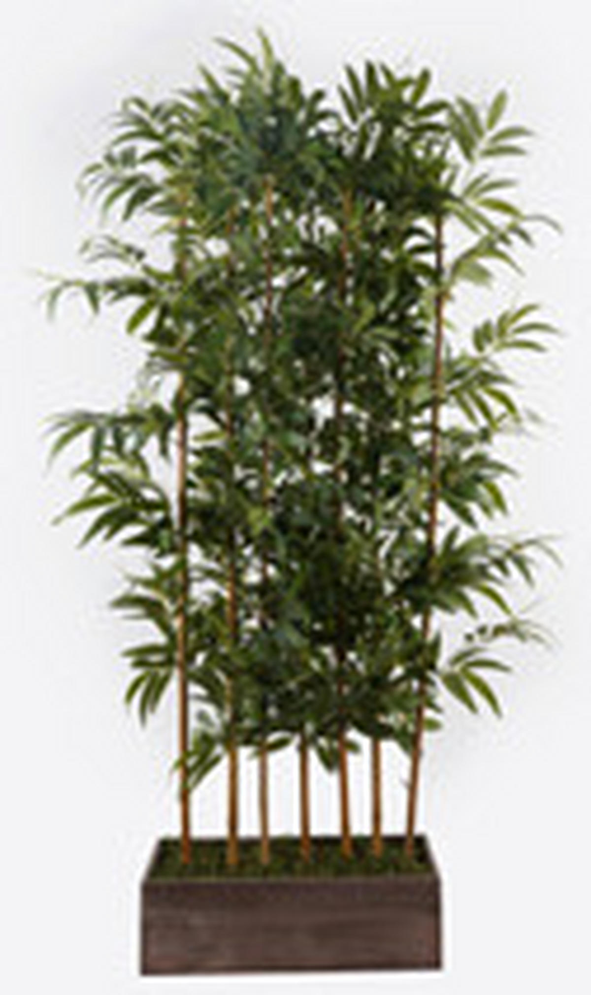 MŰNÖVÉNY - fekete/zöld, Basics, műanyag