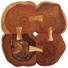 BEISTELLTISCH in Akaziefarben, Schwarz - Schwarz/Akaziefarben, Trend, Holz/Metall (51/48cm) - Ambia Home