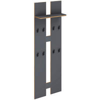 WANDGARDEROBE  in Anthrazit, Honigeiche  - Honigeiche/Anthrazit, Design, Holzwerkstoff (57/170/20cm) - MID.YOU