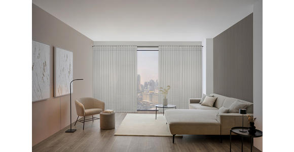 FERTIGVORHANG halbtransparent - Silberfarben, KONVENTIONELL, Textil (140/260cm) - Dieter Knoll