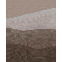 VLIESTAPETE  - Braun, Basics (200/250cm) - Xora