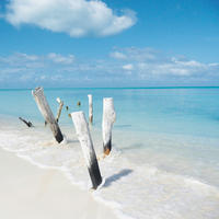 MALBA NA PLÁTNĚ, pláž a moře, 30/30/3 cm - vícebarevná, Natur, dřevo/papír (30/30/3cm) - Euroart