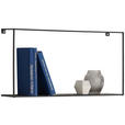 WANDREGAL 50/16/8 cm  - Schwarz, Trend, Metall (50/16/8cm) - Landscape