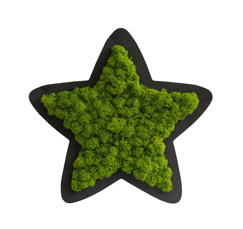 StyleGREEN MECHOVÝ OBRAZ