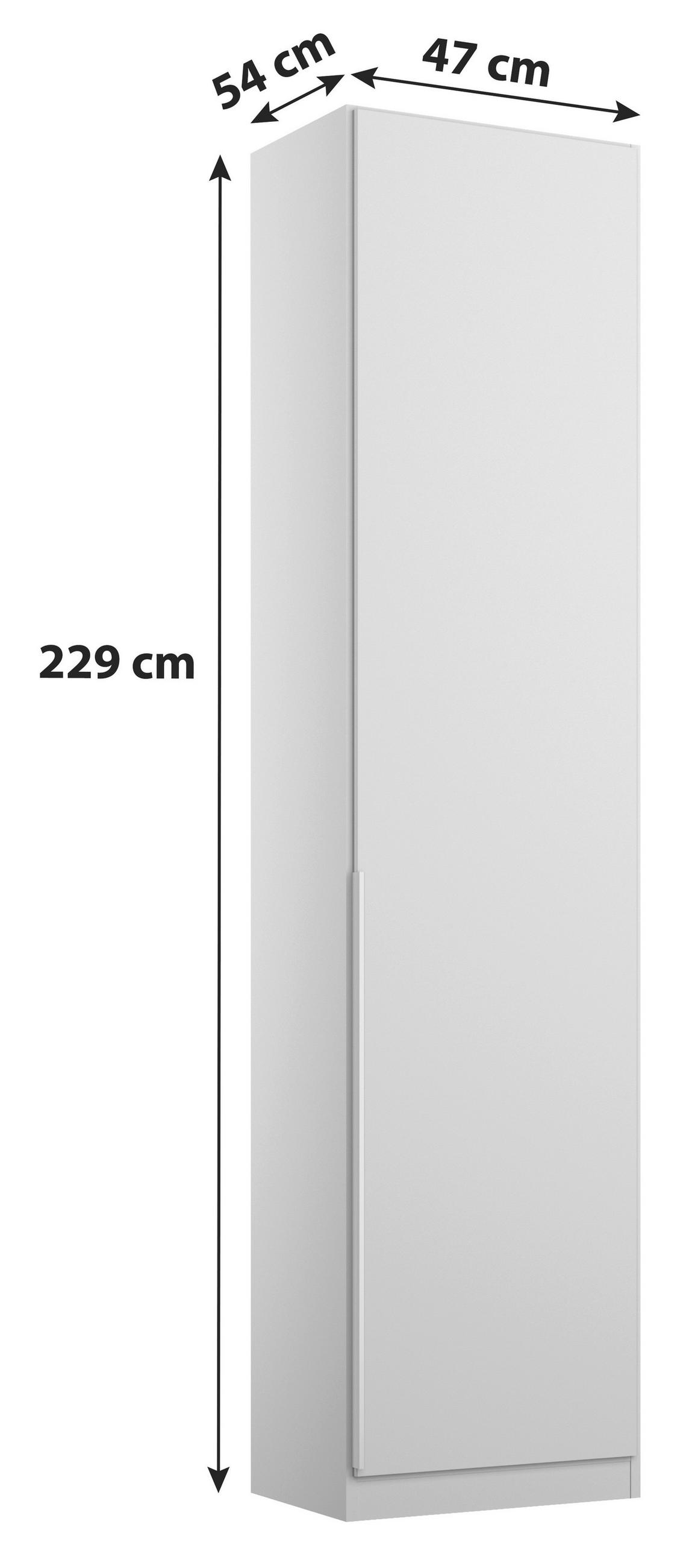 GARDEROB MED GÅNGJÄRN 47/229/54 cm 1-dörrar - aluminiumfärg/ljusgrå, Modern, trämaterial (47/229/54cm) - Rauch Möbel