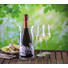 Champagnerglas-Set - Klar, Basics, Glas - Schott Zwiesel