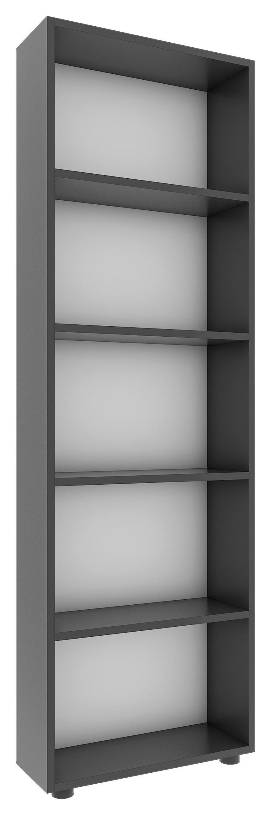 REGAL  56/169/20 cm Anthrazit  - Anthrazit/Schwarz, Basics, Holzwerkstoff/Kunststoff (56/169/20cm) - MID.YOU