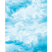 NON WOVEN-TAPET 200/250 cm  - vit/blå, Basics (200/250cm) - Komar