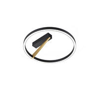 LED-DECKENLEUCHTE  45/15.5 cm    - Goldfarben/Schwarz, Design, Metall (45/15.5cm) - Helestra
