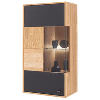 ZÁVESNÁ VITRÍNA, trámový dub, antracitová, dub bianco, 64/119/37 cm - antracitová/dub bianco, Design, kov/drevo (64/119/37cm) - MID.YOU