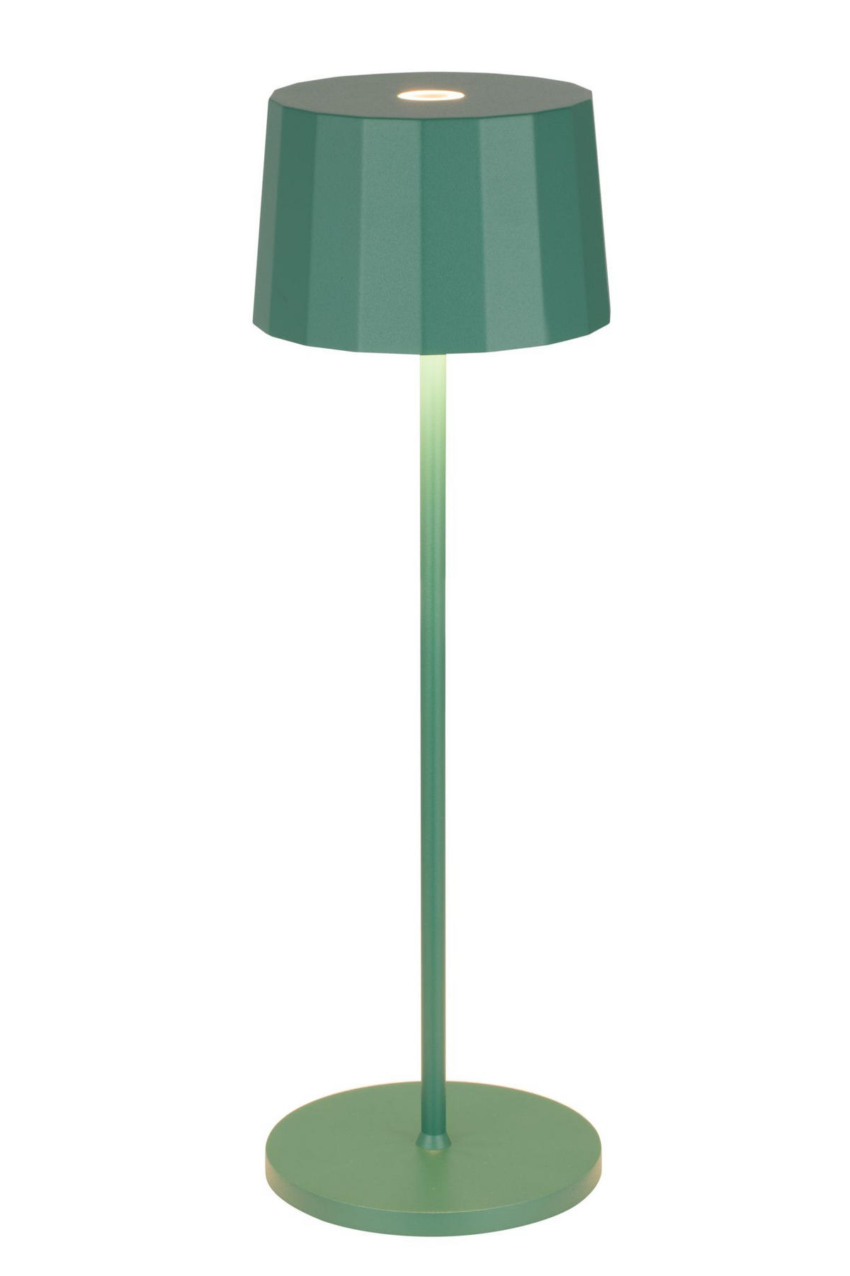 VEIOZĂ CU LED - verde închis, Basics, plastic/metal (11/35cm) - Dieter Knoll