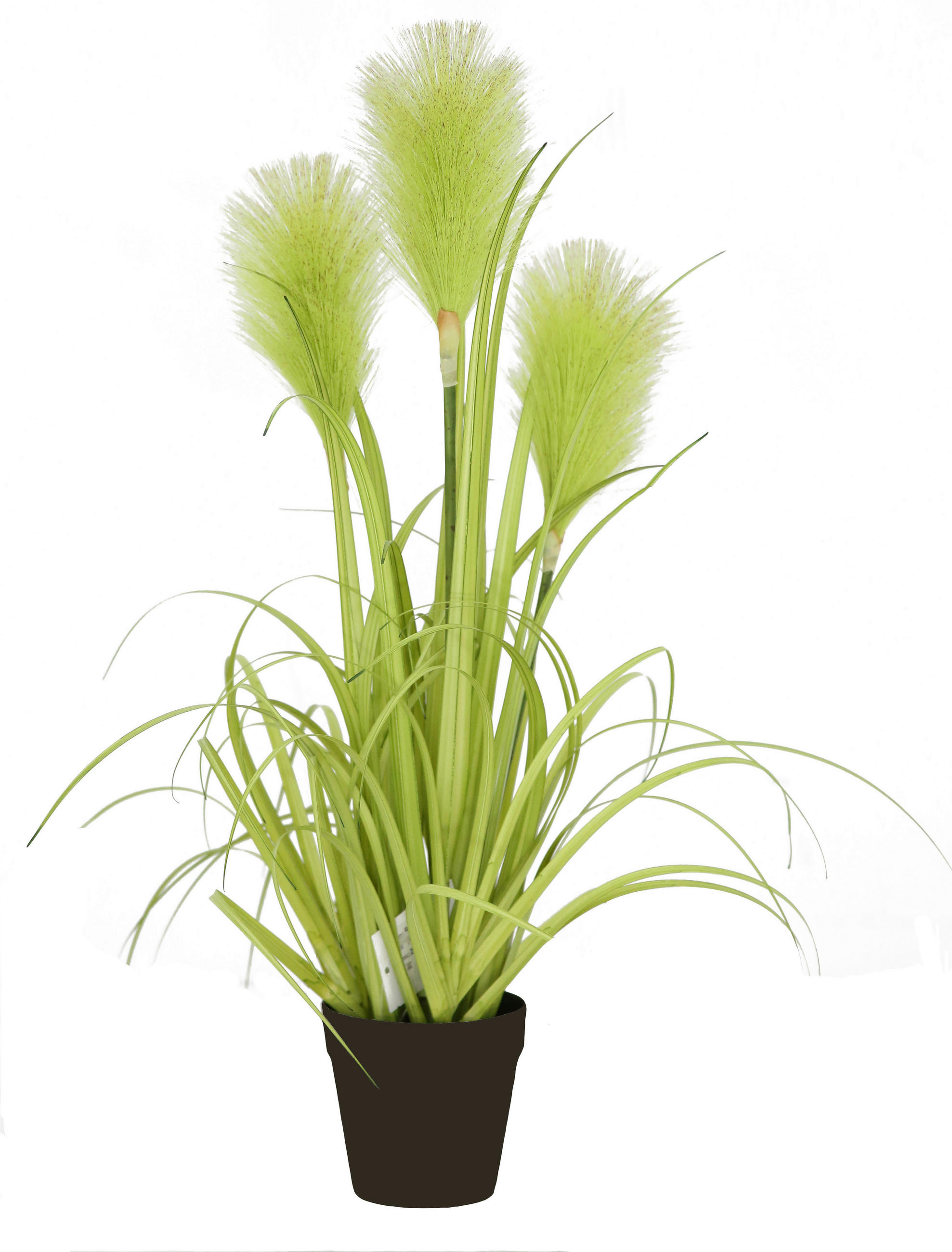 KUNSTPFLANZE 53 cm  - Basics (53cm) - Ambia Home