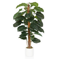 KUNSTPFLANZE Efeutute  - Braun/Weiß, MODERN, Kunststoff (67/155/60cm) - MID.YOU