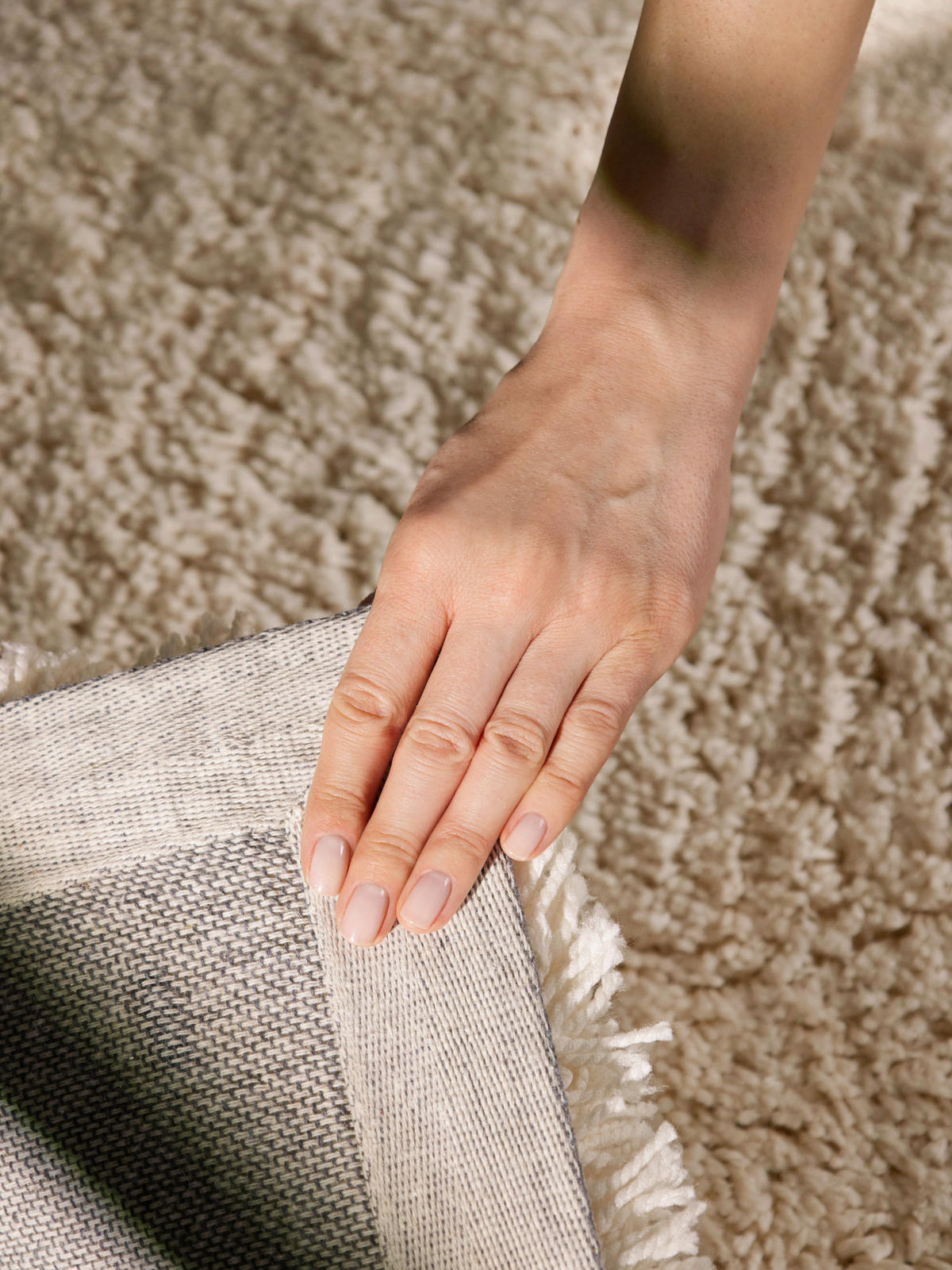 HOCHFLORTEPPICH 160/230 cm Lambeth Creme  - Creme, Basics, Textil (160/230cm) - Ted Baker