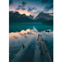 FOTOTAPET 200/280 cm  - multicolor, Trend, papper (200/280cm)