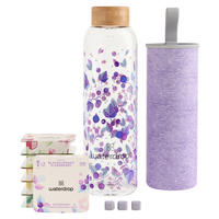 TRINKFLASCHE 0,6 l 18 Microdrinks & 600ml  Trinkflasche aus Boros  - Klar/Lila, Trend, Glas/Holz (600ml) - waterdrop