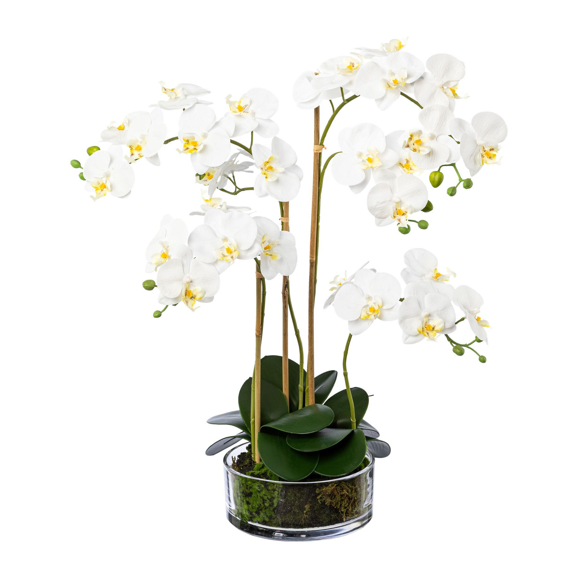 KUNSTPFLANZE Orchidee 50 cm  - Transparent/Weiß, Design, Glas/Kunststoff (50cm) - P & B