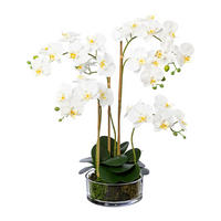 KUNSTPFLANZE Orchidee 50 cm  - Transparent/Weiß, Design, Glas/Kunststoff (50cm) - P & B