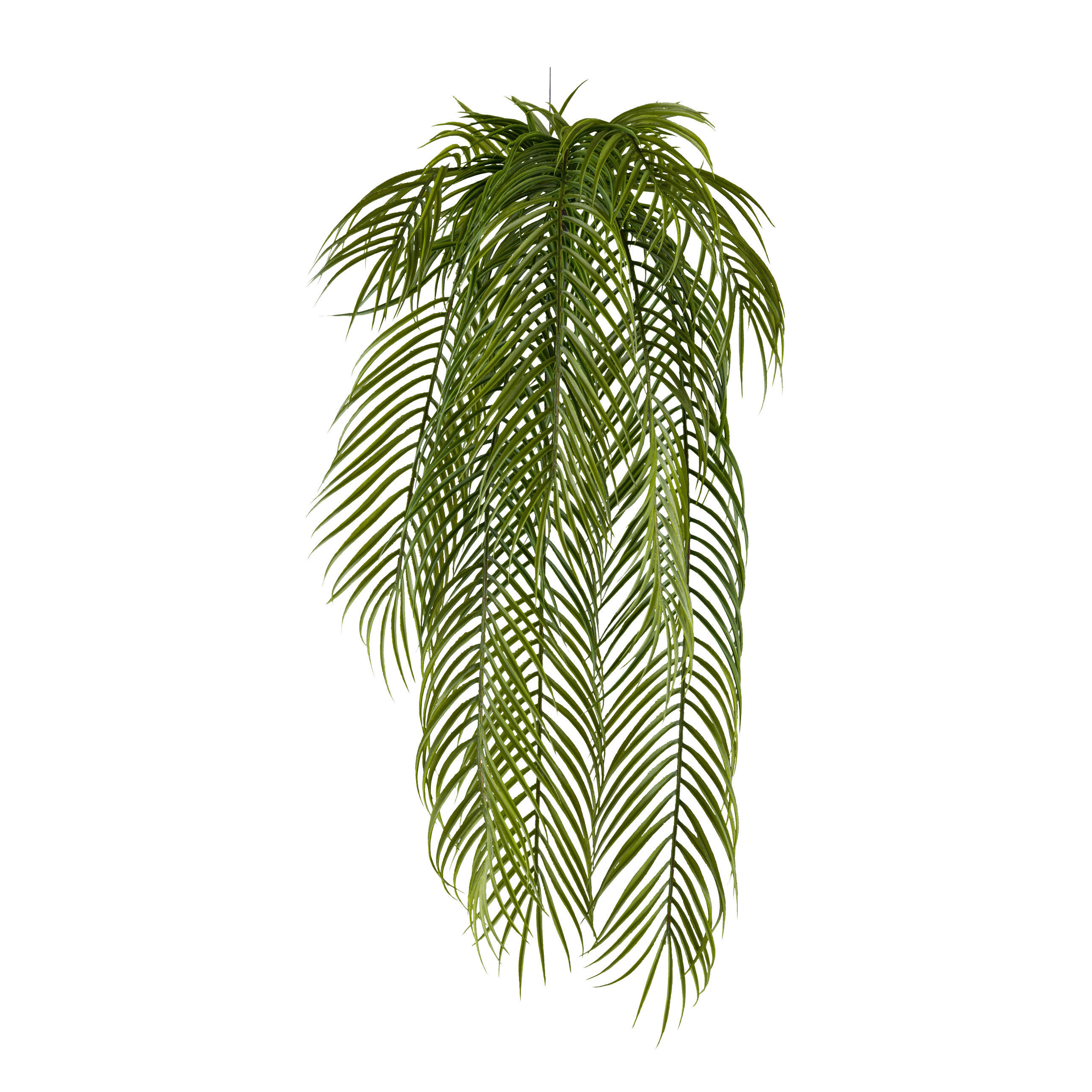 KUNSTPFLANZE Palme 80 cm  - Grün, Design, Kunststoff (80cm) - P & B