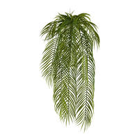 KUNSTPFLANZE Palme 80 cm  - Grün, Design, Kunststoff (80cm) - P & B