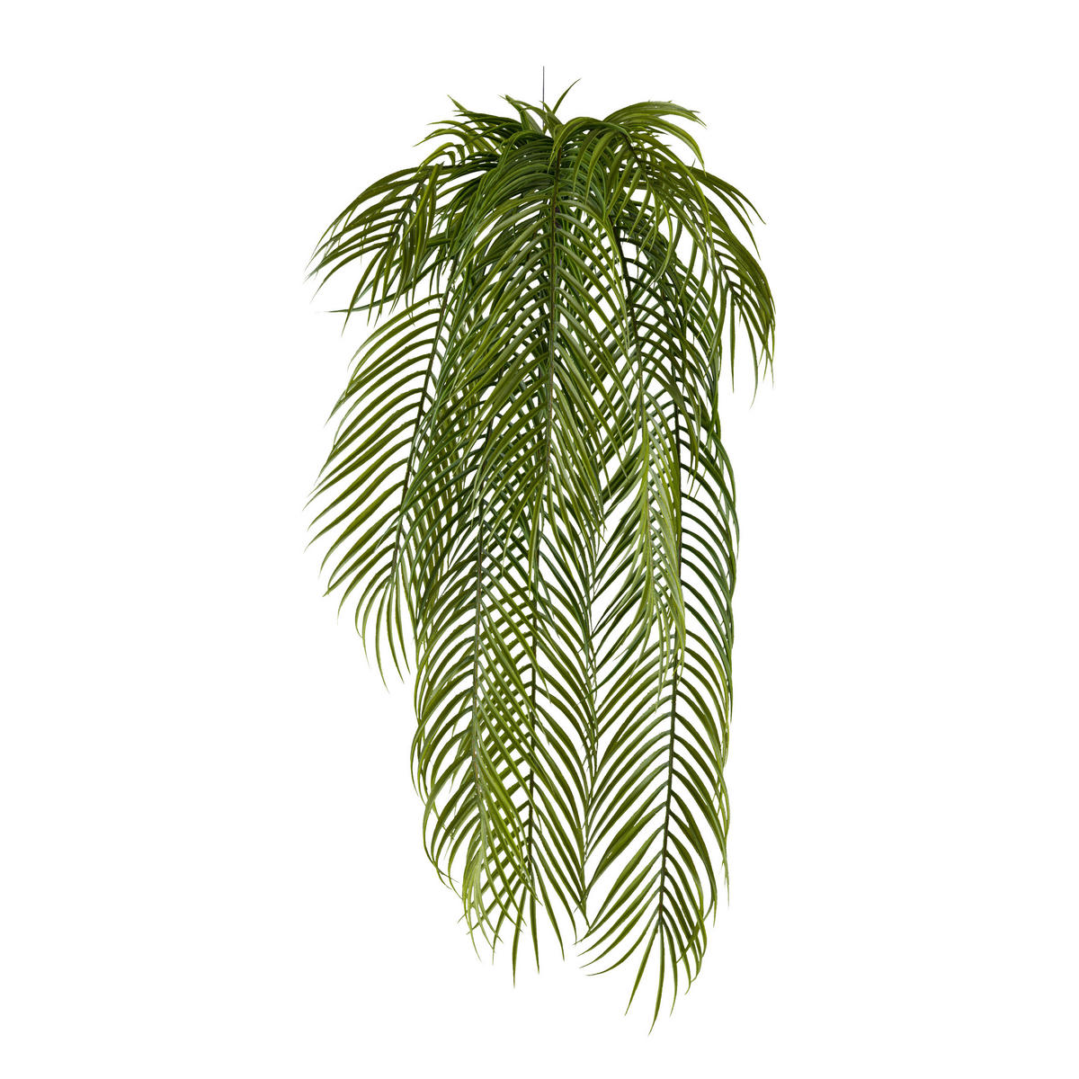 KUNSTPFLANZE Palme 80 cm  - Grün, Design, Kunststoff (80cm) - P & B