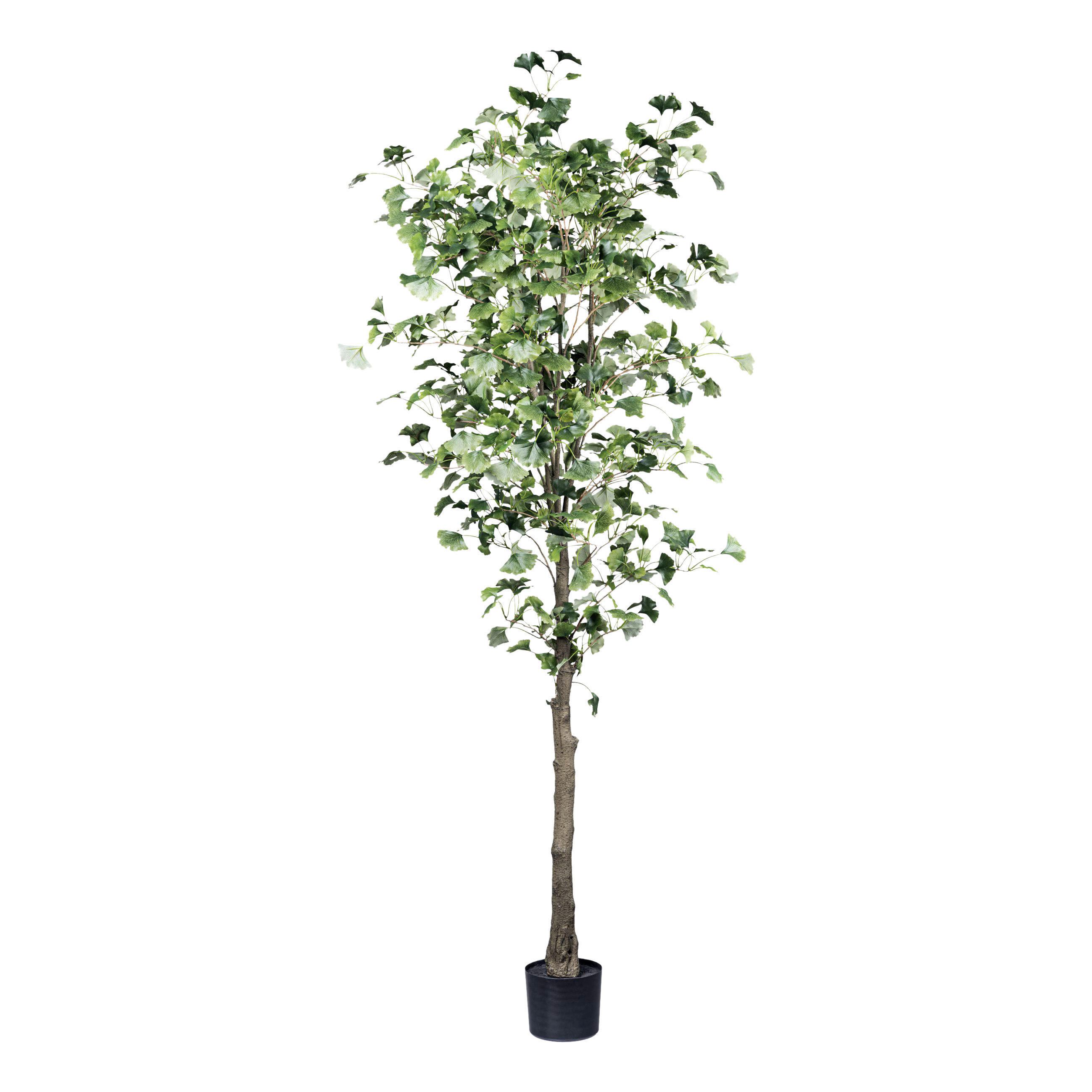 KUNSTPFLANZE 210 cm  - Schwarz/Braun, Design, Kunststoff (210cm) - P & B