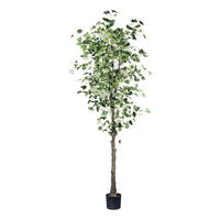 KUNSTPFLANZE 210 cm  - Schwarz/Braun, Design, Kunststoff (210cm) - P & B