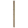GARDEROBENPANEEL in 10/165/3 cm - Taupe, Design, Holzwerkstoff/Metall (10/165/3cm) - Moderano