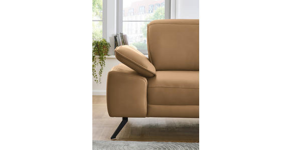 ECKSOFA in Echtleder Honig 332/193 cm - Schwarz/Honig, Design, Leder/Metall (332/193cm) - Dieter Knoll