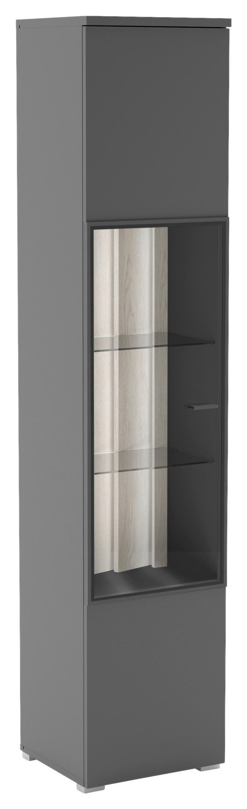 VITRIN szürke  - ezüst/szürke, Design, műanyag/faalapú anyag (42/196/38cm) - Livetastic