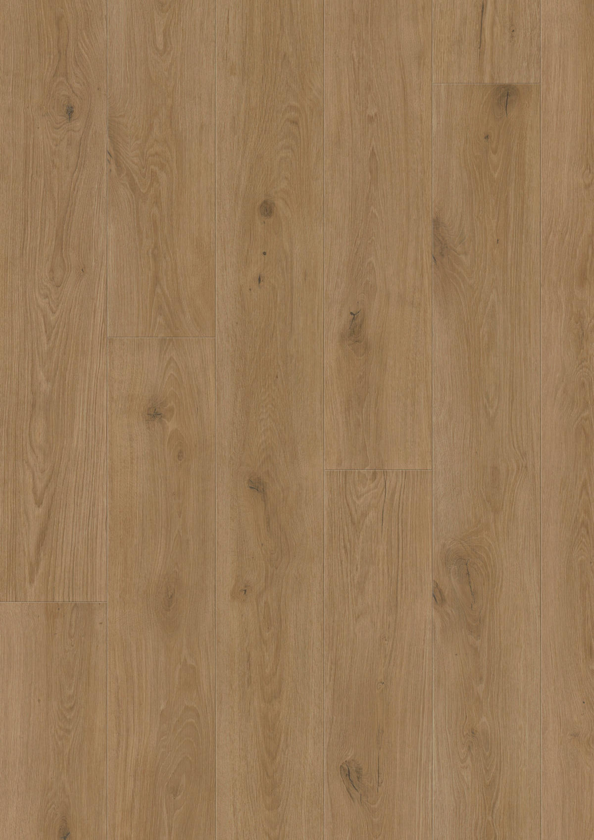 VINYLBODEN Elito Trend Eiche Fels 100006001  per  m² - Design, Holz (220/21,6/1cm) - Tilo